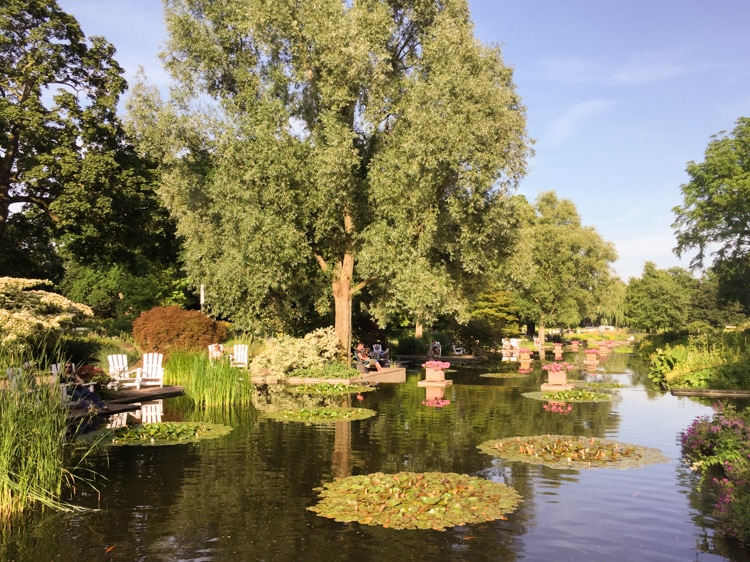 water garden