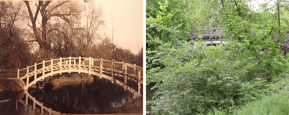 bridge in a park in Magdeburg, Germany