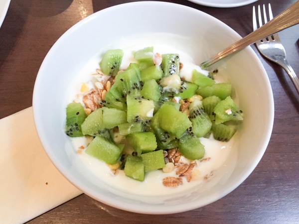 bowl of yogurt and fruit 