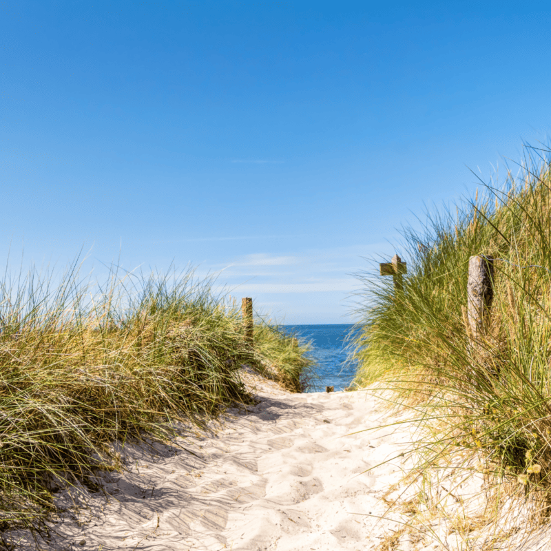 sand and Baltic Sea
