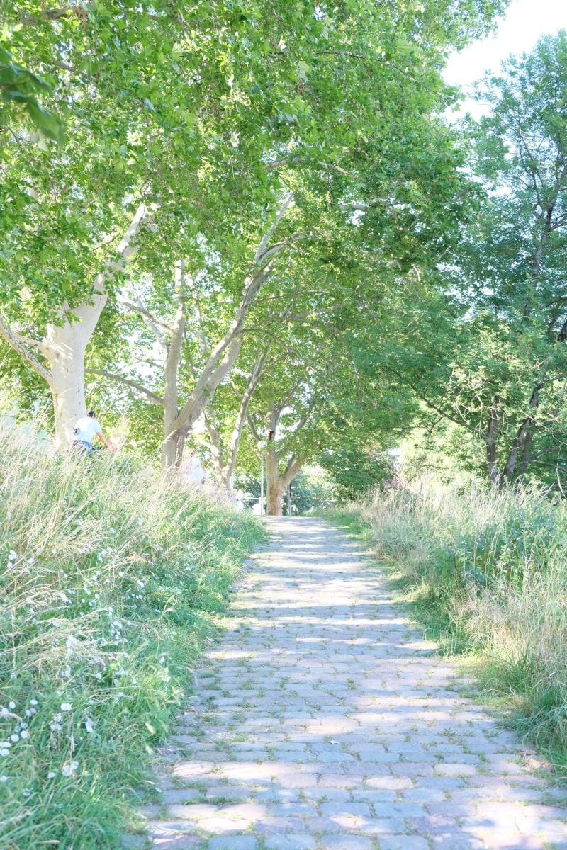 walking and bike path