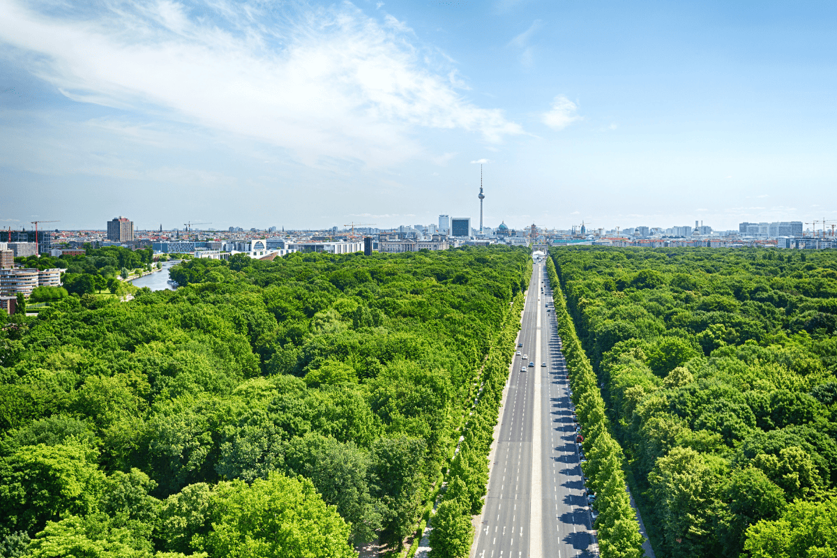 roadway through the Tiergarten park   