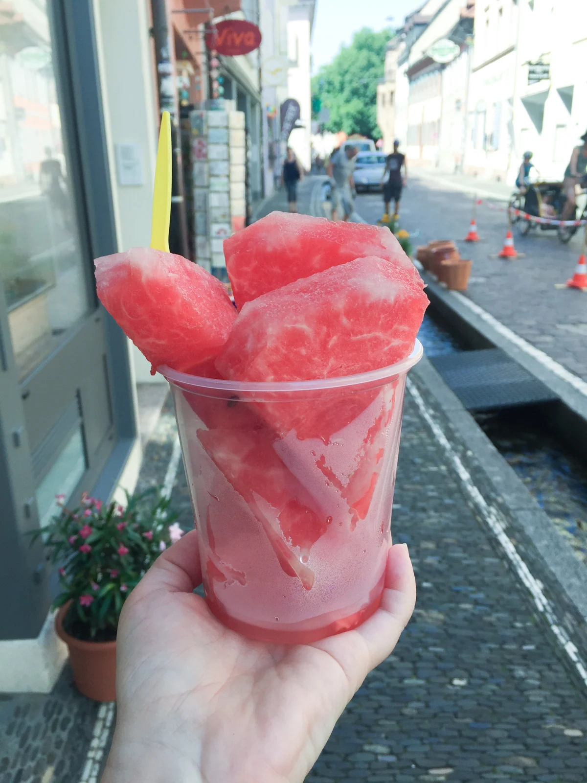 watermelon in Freiburg 