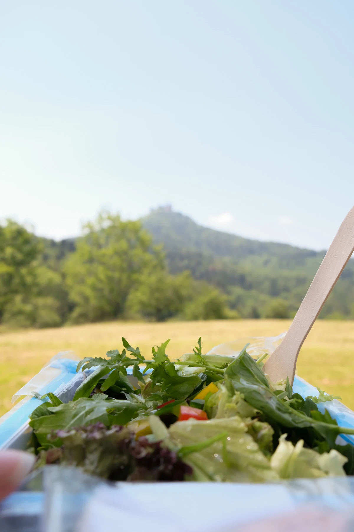 salad