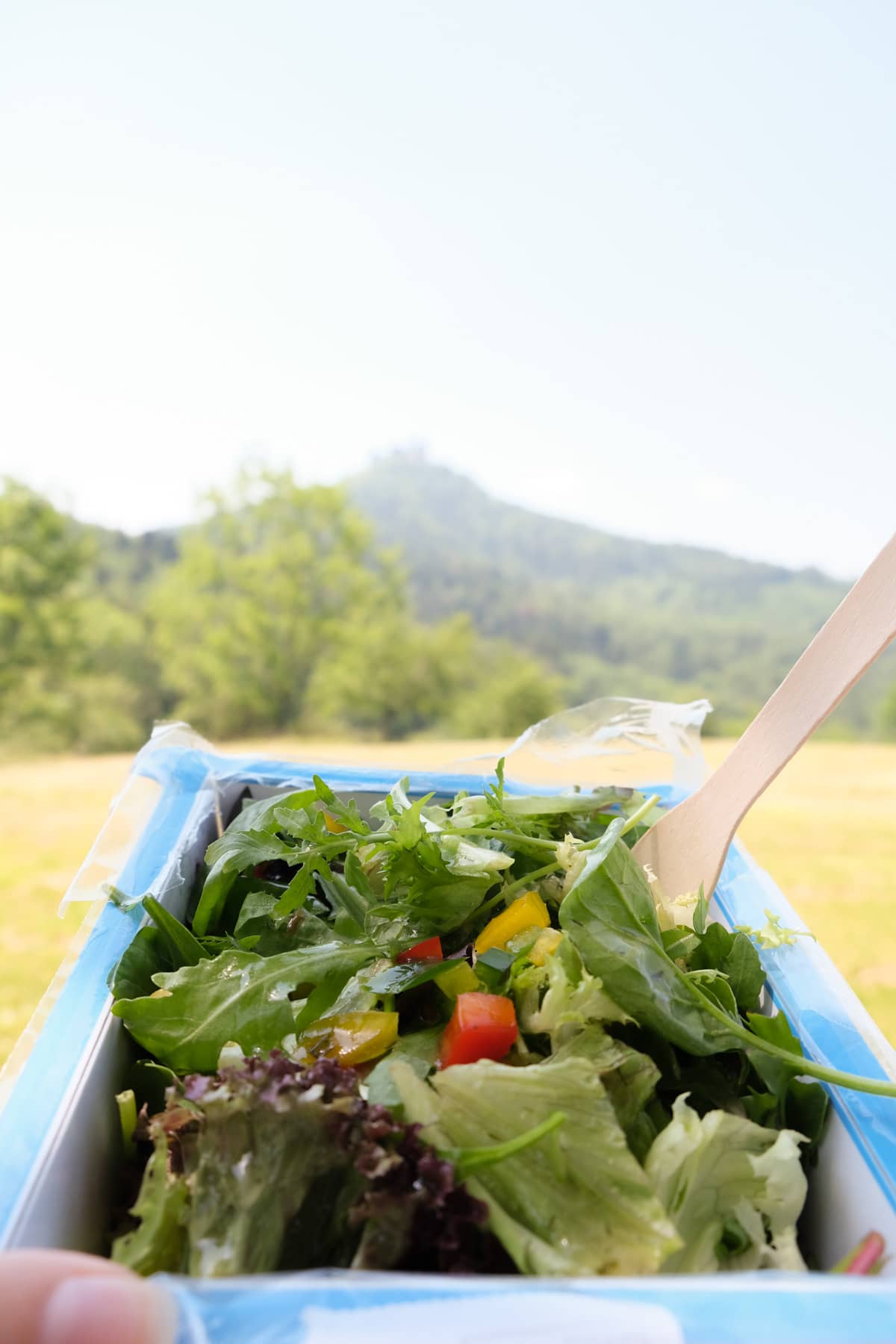 German salad 