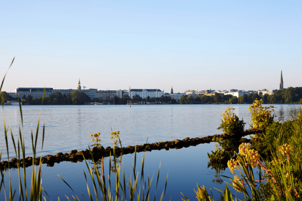 Alster