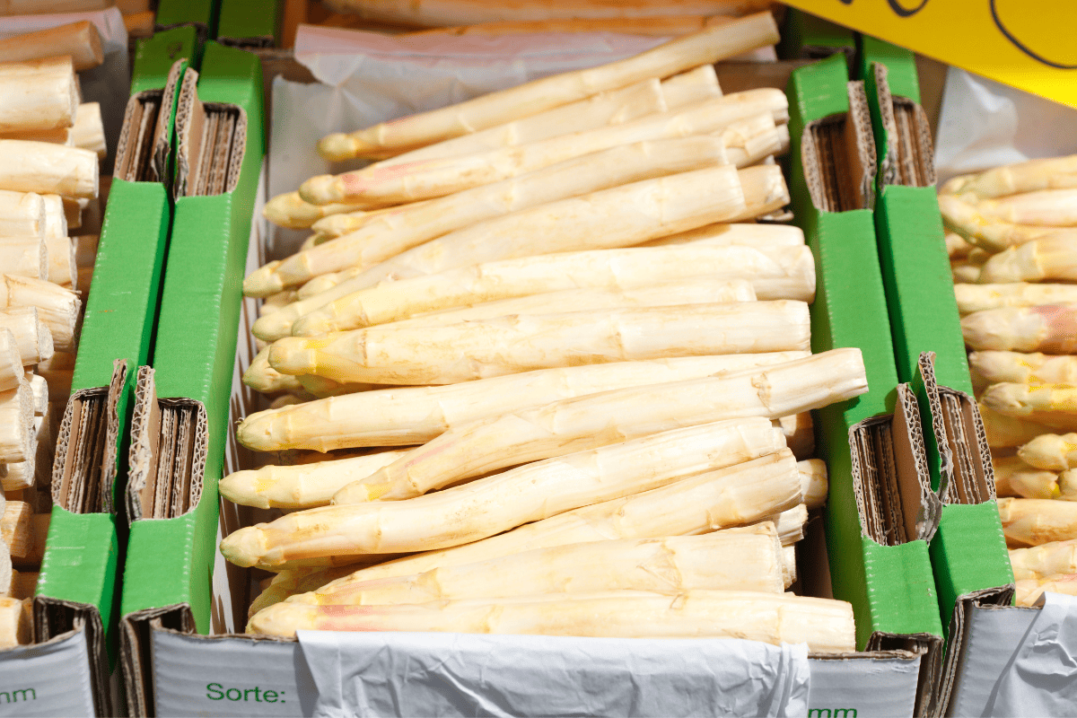 German white asparagus (Spargel)