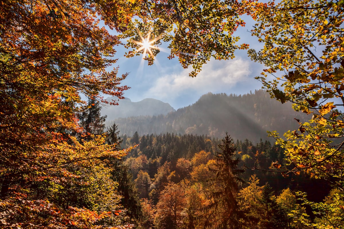 Fall in Bavaria