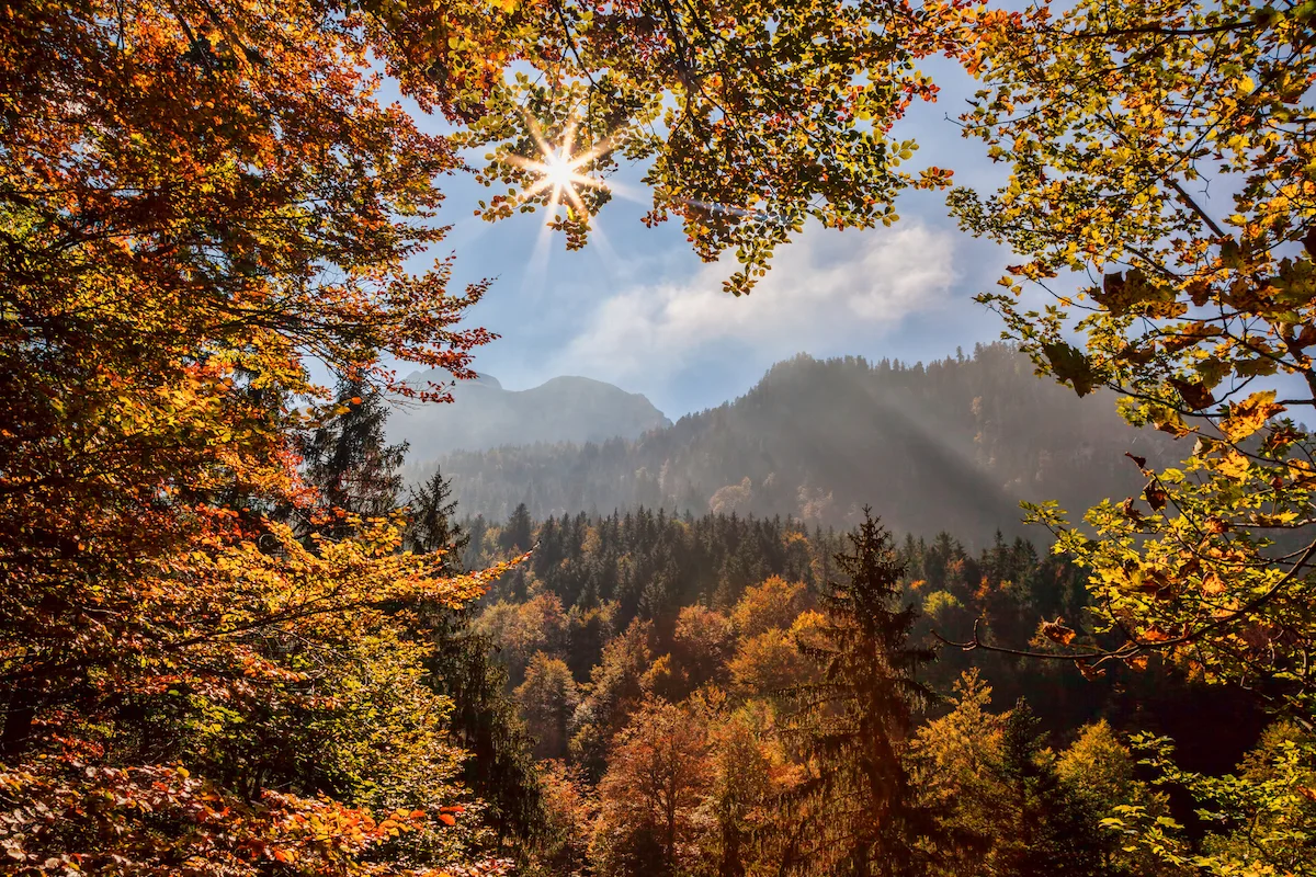 Fall in Bavaria