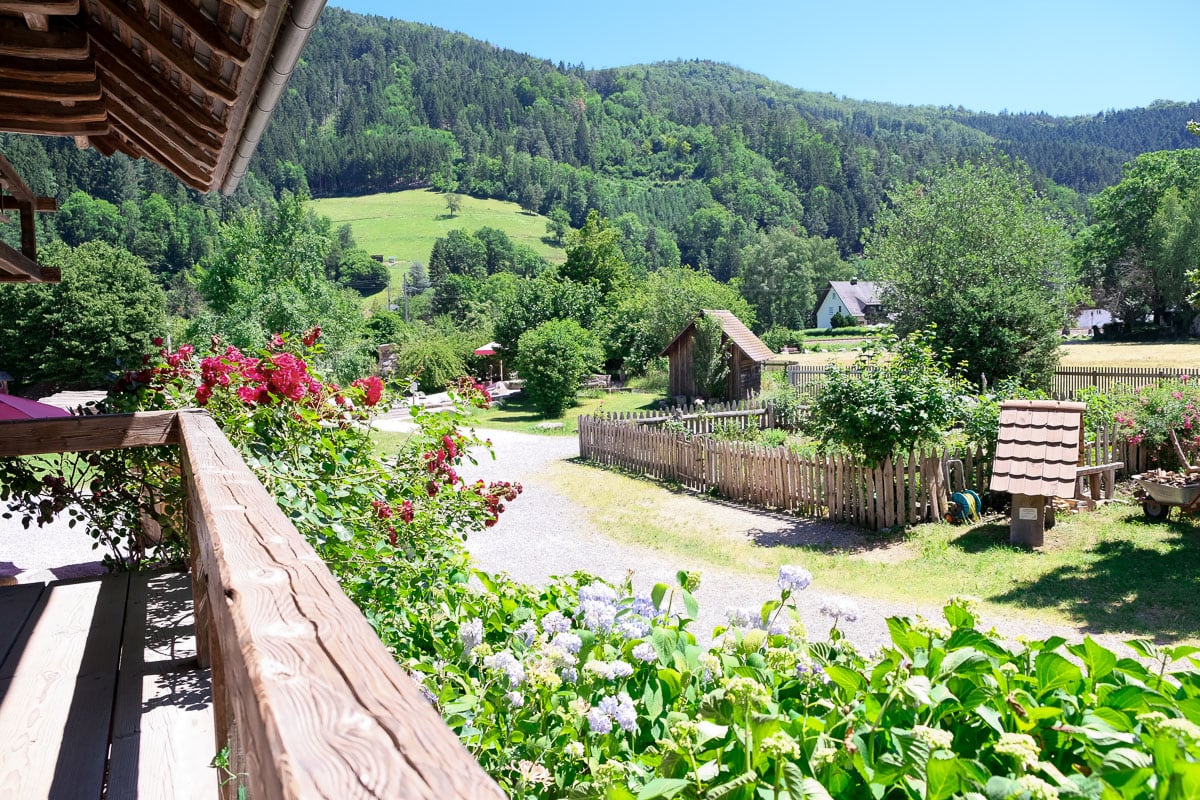 Black Forest garden and hillside