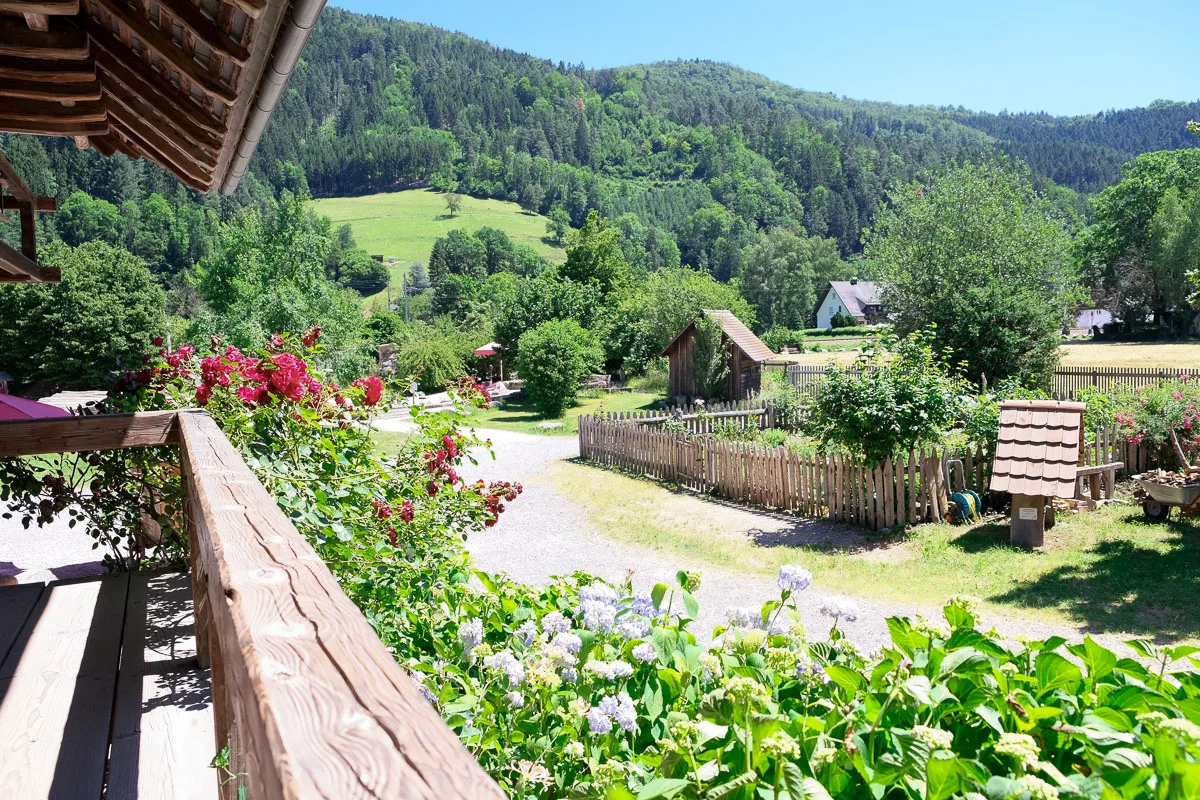 Black forest house