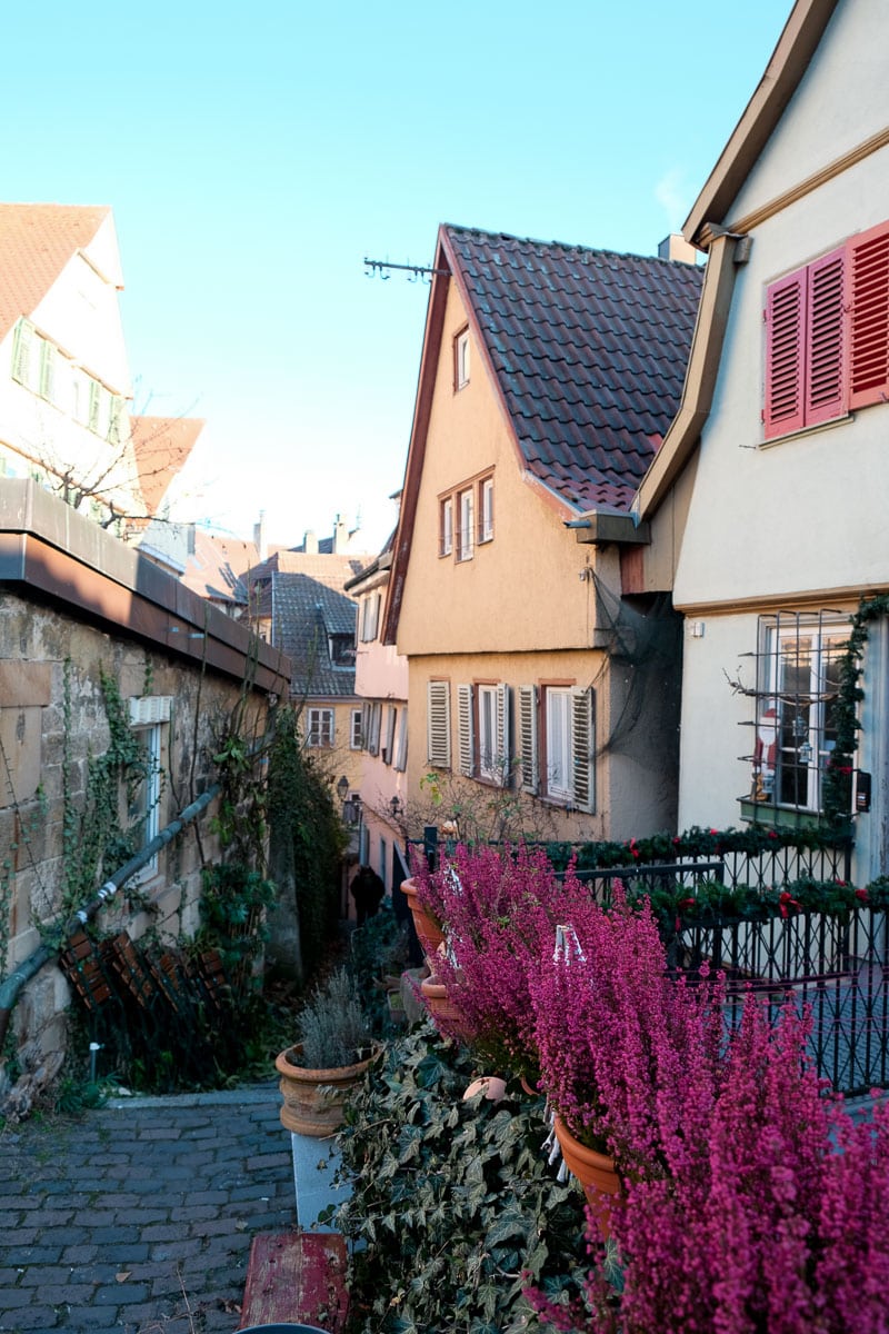 Tübingen walkway