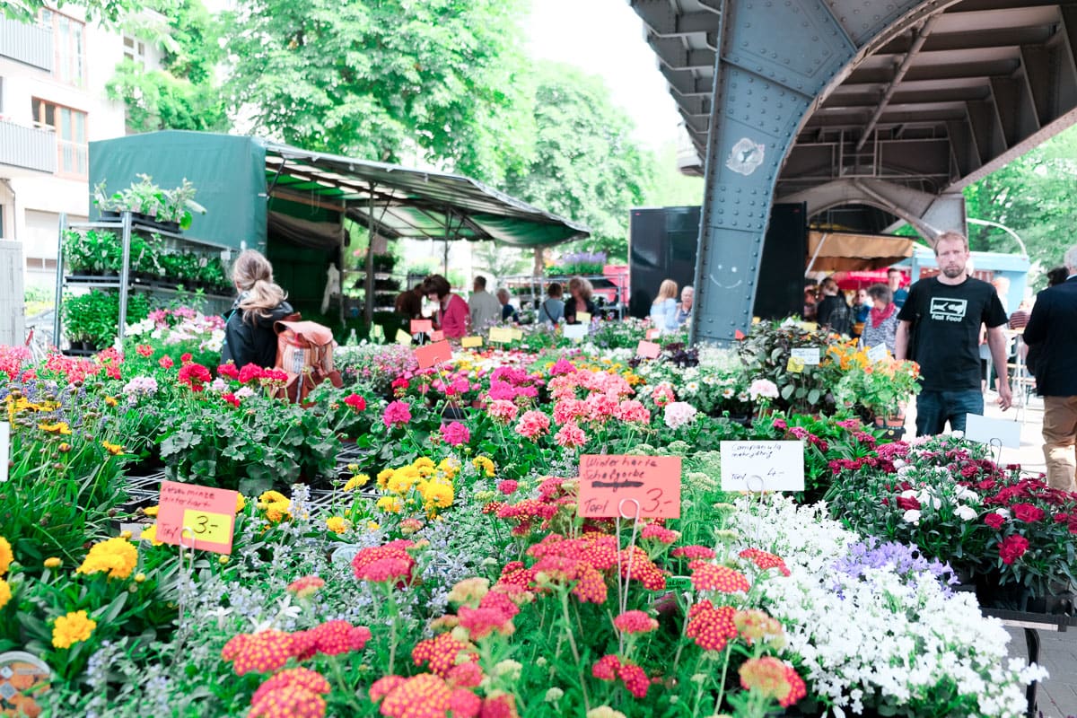 flowers at the market 