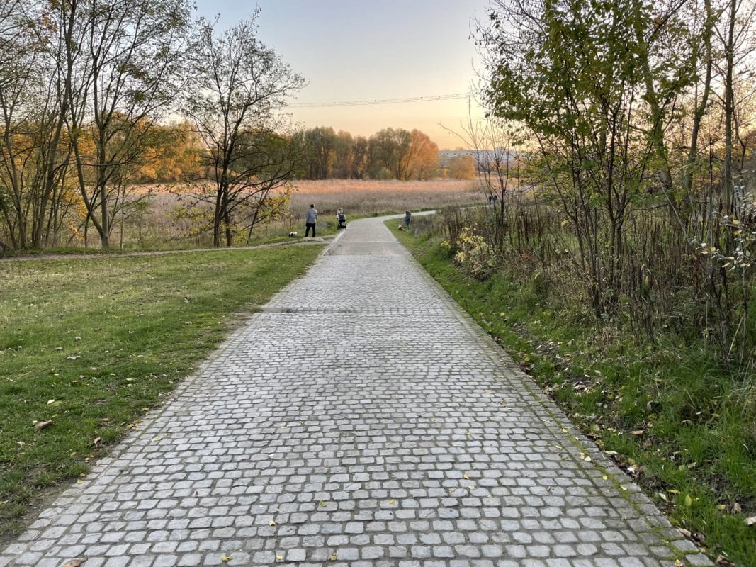 stone pathway