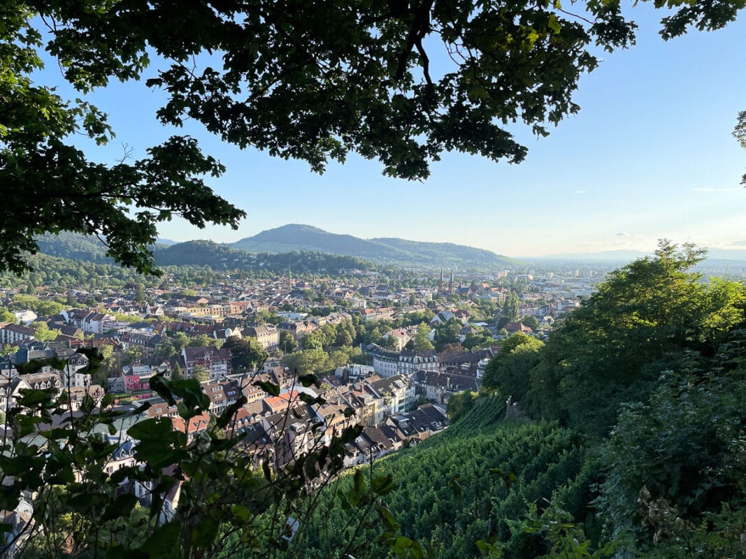 view of Freiburg