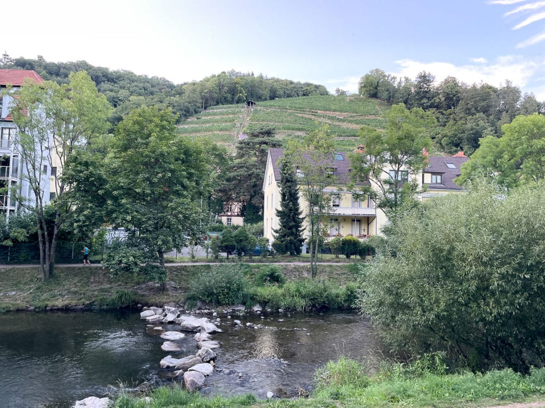 houses and hillside along the Dreisam river 