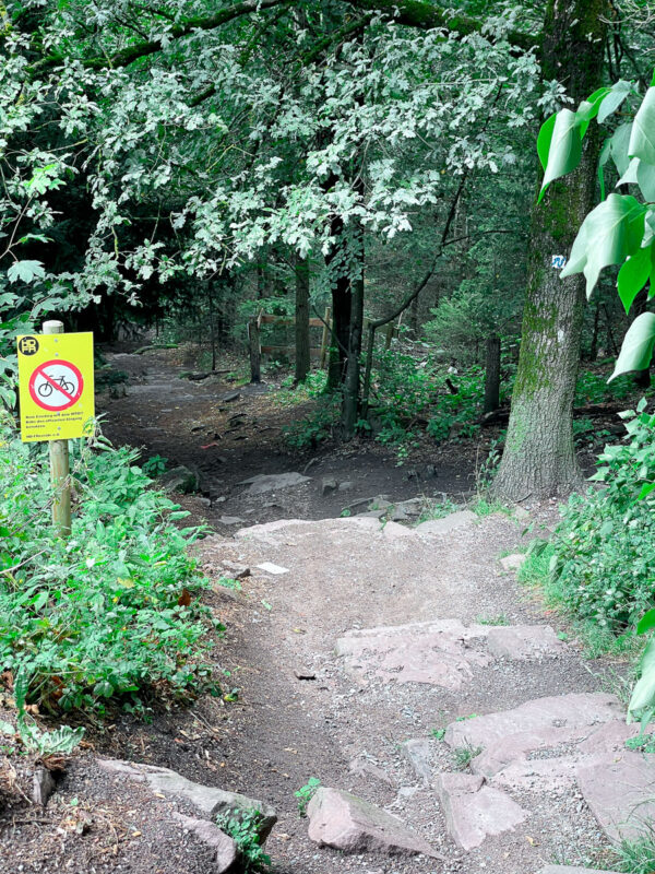 Heidelberg hiking trail