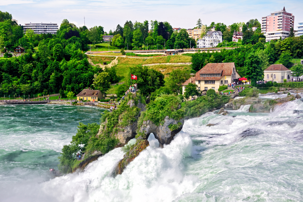 Zurich: Black Forest, Titisee, Rhine Falls Trip