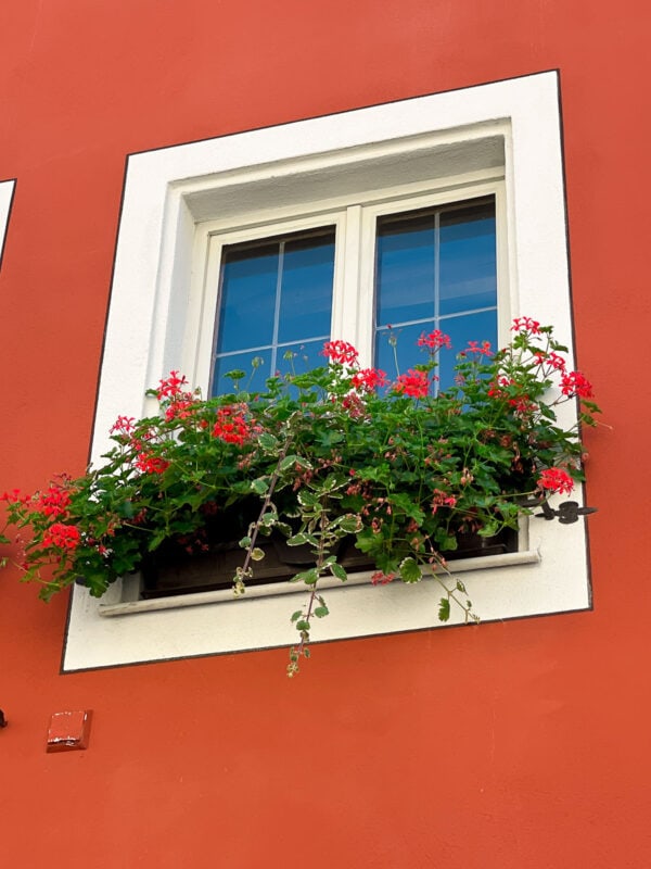 flower box in window in Rothenburg