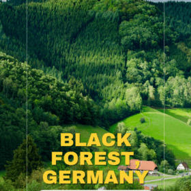 Black Forest Guide image