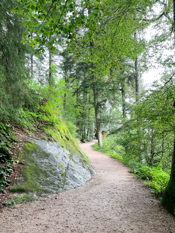Triberg trail 
