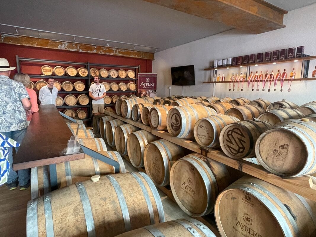 Distillery barrels