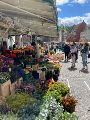 Münstermarkt, Münsterplatz Freiburg