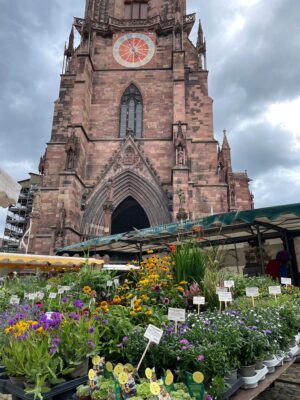 Münstermarkt, Münsterplatz Freiburg