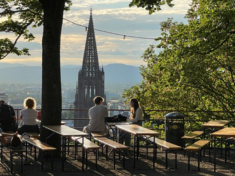 Freiburg Skyline