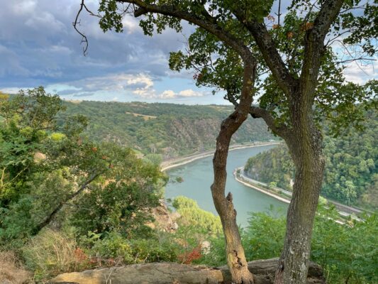 Lorelei, Rhine