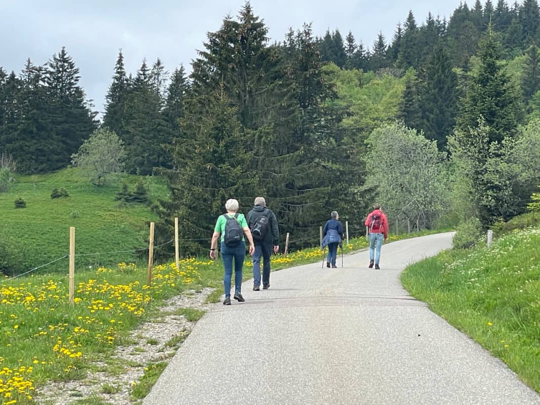 hiking in feldberg